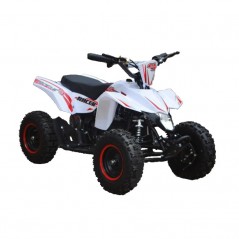 MiniQuad RACER ELETTRICO