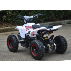 MiniQuad RACER ELETTRICO