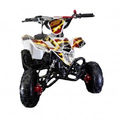 MiniQuad FOX XXL 49