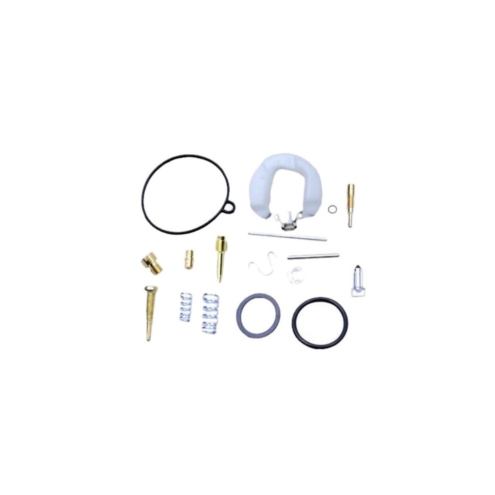 Kit Revisione Carburatori PZ19