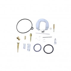 Kit Revisione Carburatori PZ19