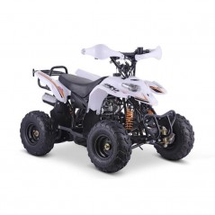 Quad ADVENTURE 110