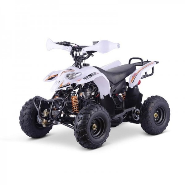 Quad ADVENTURE 110