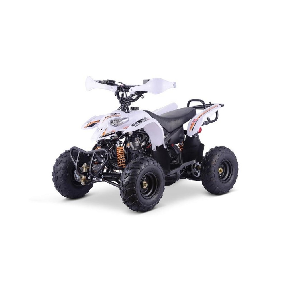 Quad ADVENTURE 110